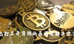 TP钱包打不开薄饼的原因及