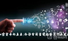 加密货币的未来：冷静分
